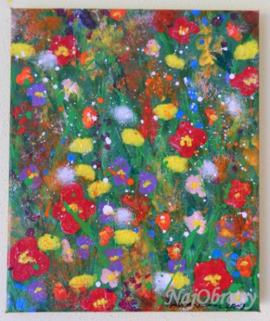 Lúka 30x25 - PREDANÝ